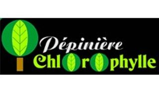 chlorophylle logo