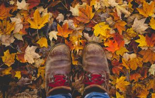feuilles d'automne et bottines de randonnée