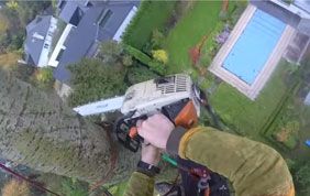 vue du haut d'un jardin