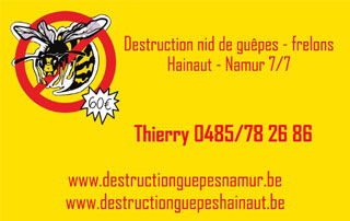 logo Destruction Guêpes