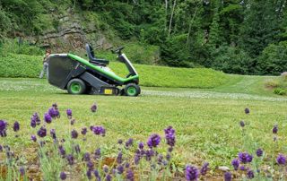 tondeuse à gazon motorisée