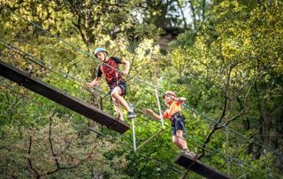 parcours aventures sur pont de singe