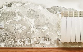 BIO-PROTECT - solutions contre l'humidité