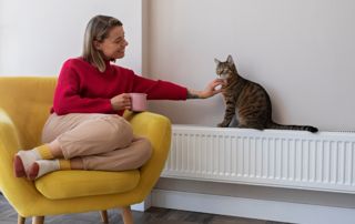 femme dans son fauteuil avec un chat sur le radiateur