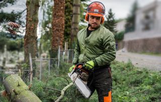 élagueur coupe un arbre en tronçons