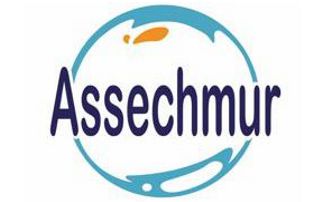 logo Asschemur