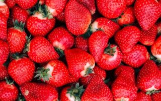 fraises