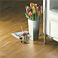 Image parquet