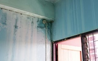 Comment traiter les problèmes d’humidité ?