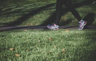 promenade dans un parc